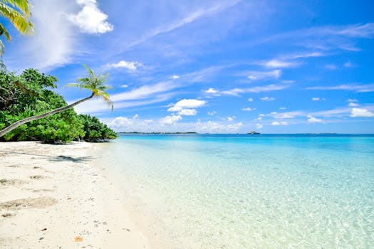 Float through Coral Calmness at Baros Maldives