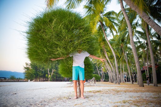 Indulge in Coastal Culture at The Datai Langkawi