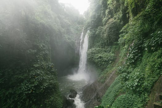 Observe Rainforest Retreat at Inkaterra Machu Picchu Pueblo