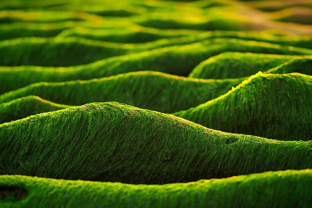 Atriumline Taiwan Hotels for Food-Led City Breaks and Green Nearby Hills