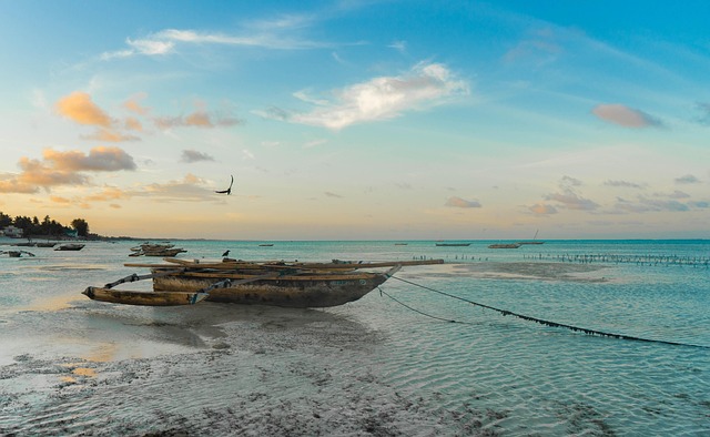 Crosscurrent travel in Tanzania for island warmth and scenic stillness
