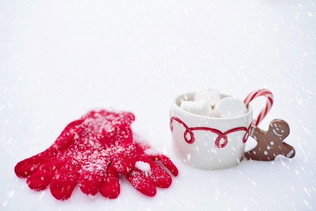 Fireside Austria Villas for Snowy Mornings and Cozy Design-Led Comfort