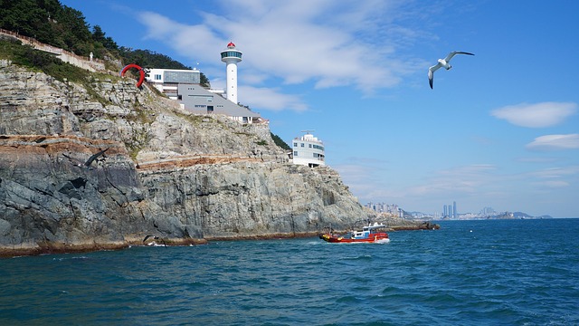 Leeward South Korea Resorts With Modern Wellness and Scenic Perspective