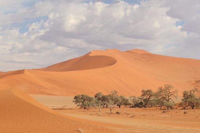 Miragewater Namibia Resorts Where Dune Silence Becomes the Main Luxury