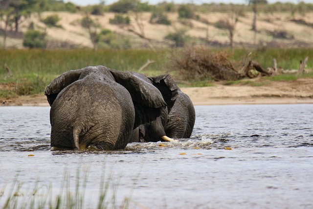 Nurtureroute travel through Botswana for safari rhythm and river peace