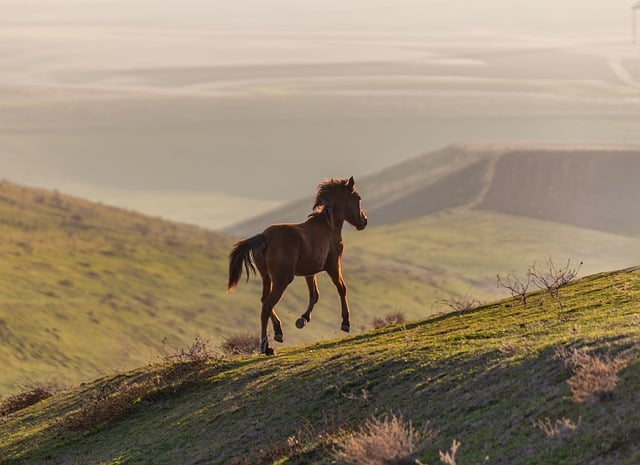 Turnberry villas in Azerbaijan for scenic openness and modern glamour