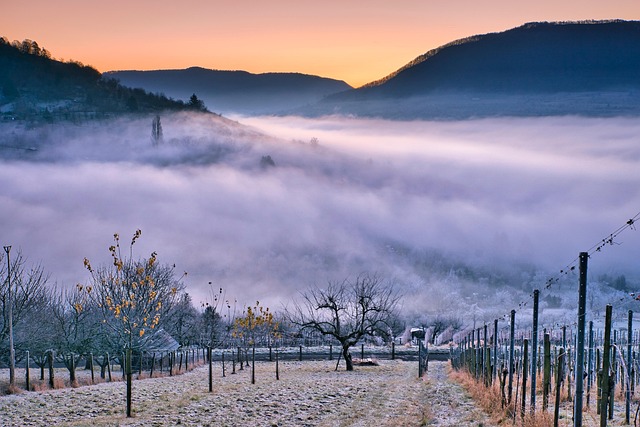 Vineyard Argentina Villas for Long Mornings and Scenic Stillness