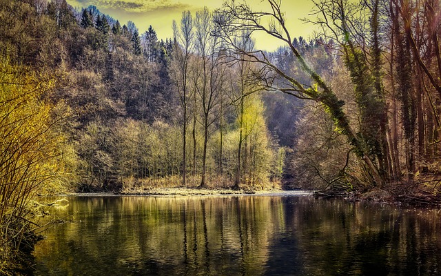 Windsurf Germany Resorts Wrapped in Forest Quiet and Thermal Ease