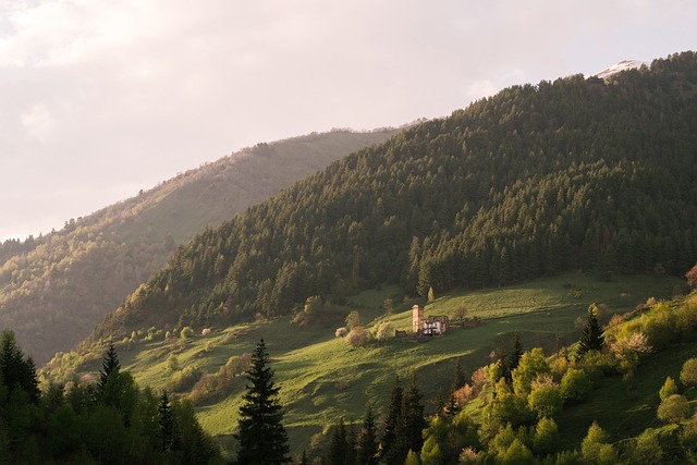 Wine-Georgia Resorts where valley warmth and hill views set the tone